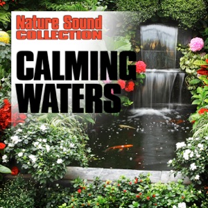 Calming Waters (Nature Sounds)