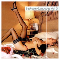 Bedroom Escapades, Vol. 3 - Various Artists