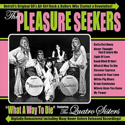 The Pleasure Seekers - What a Way to Die