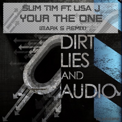 Your The One (feat. Lisa J) - Single