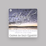 Caspar de Salo Quartet