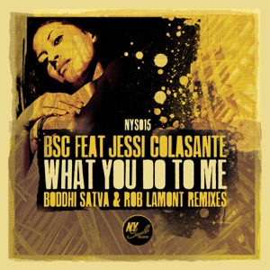 What You Do To Me (Boddhi Satva Remixes) [feat. Jessi Colosante] - EP