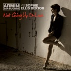 Not Giving Up On Love (Album Version)