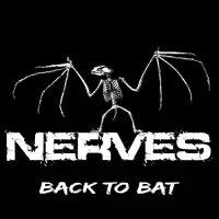 Down On You — The Nerves