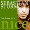 Tell Them the Truth - Sebastian Sturm lyrics