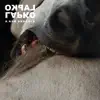 Lapko - Share Today