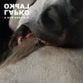 Grab The Stick