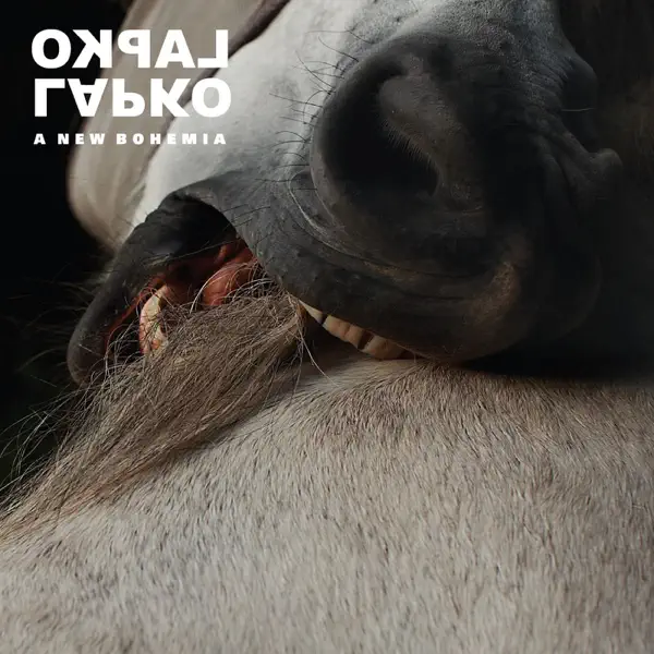 Share Today — Lapko