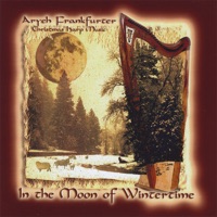 Aryeh Frankfurter - A Little Child