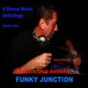 Funky Junction Classics Club Anthems, 2010