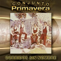 Corridos Sin Nombre - Conjunto Primavera