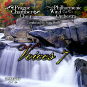 Concerto Pour une Voix