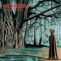 Doomraiser - The Raven