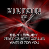 Waiting for You (feat. Claire Willis) - Sean Truby