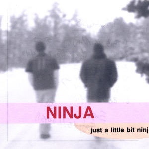 Just a Little Bit Ninj