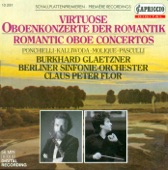 Oboe Concertino In G Minor: III. Allegro artwork