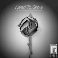 Need to Grow feat. Pete Simpson (Yoruba Soul Remix)