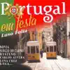 Virginia Gonçalves - Eu Vi Um Gatao