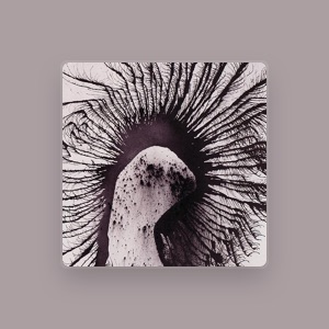 Joseph Arthur & The Lonely Astronauts