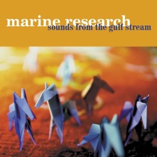 Marine Research - Queen B
