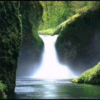 Nederica Stepan - Le Carnaval des Animaux in A Minor - "Aquarium"