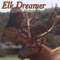 Elk Dream - John Two-Hawks lyrics