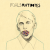 Antidotes - Foals