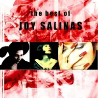 Gotta Be Good (Get Far Mix) — Joy Salinas