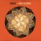 Salvador - Aaron Goldberg lyrics