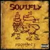 Soulfly - Wings