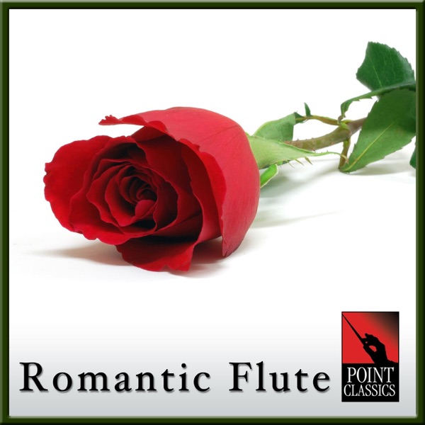 Concerto for 2 Flutes and String Orchestra in G Major: Rondeau
