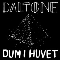 Dum I Huvet - Daltone
