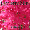 River - Izzy Stradlin