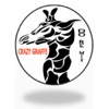 Crazy Giraffe - Single