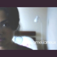 Amel Larrieux