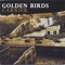 Sioux Falls - Golden Birds lyrics