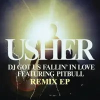 DJ GOT US FALLIN'IN LOVE