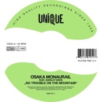 No Trouble On the Mountain (feat. Shirley Davis) - Single