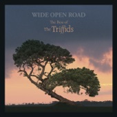 Wide Open Road - The Best of The Triffids