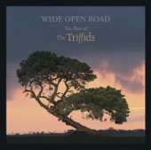 Wide Open Road - The Best of The Triffids artwork