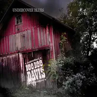 Alligator Blues — Boo Boo Davis