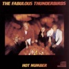 Fabulous Thunderbirds