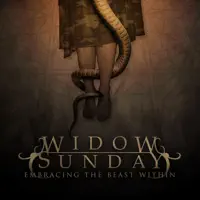 The Strings of Clarity — Widow Sunday