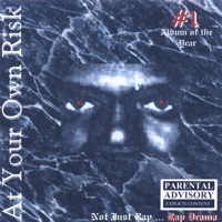 At Your Own Risk - E