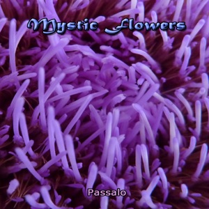Mystic Flowers - Single