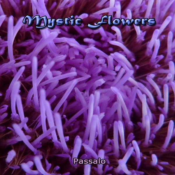 Mystic Flowers - Single