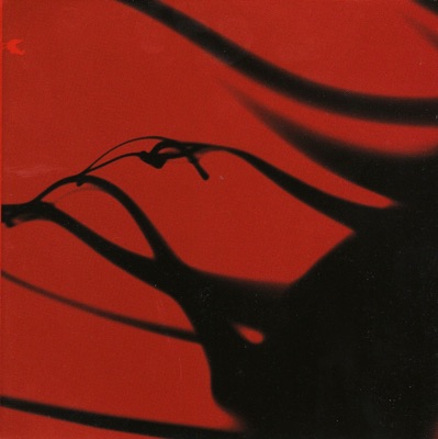 Pequenas Flores do Inferno