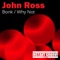 Bonk - John Ross lyrics
