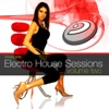 Electro House Sessions, Vol. 2