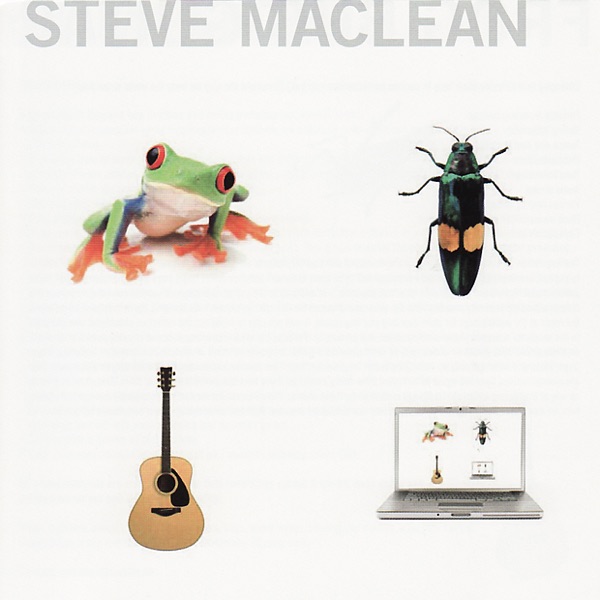 Frog Bug Guitar Computer